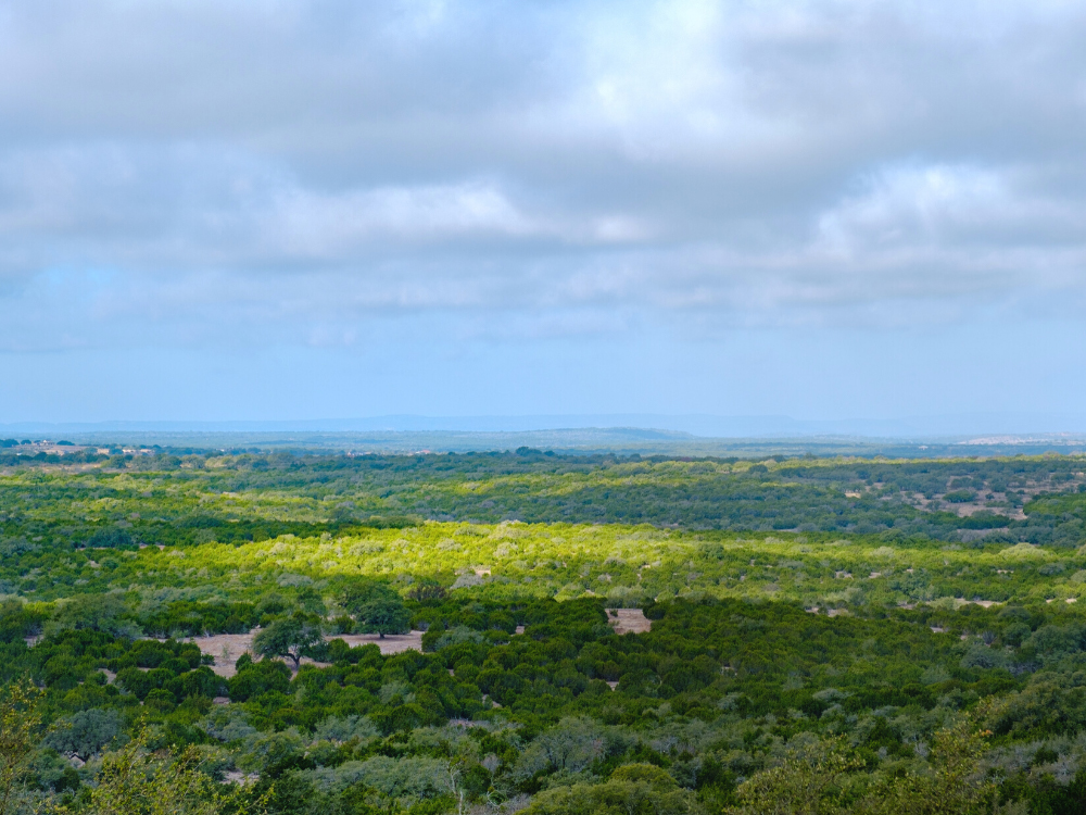 View of Round Mountain Reserve natural landscape in Texas Hill Country