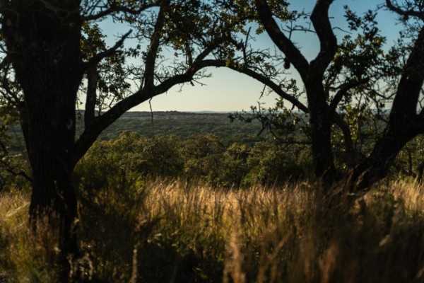 texas hill country ranches