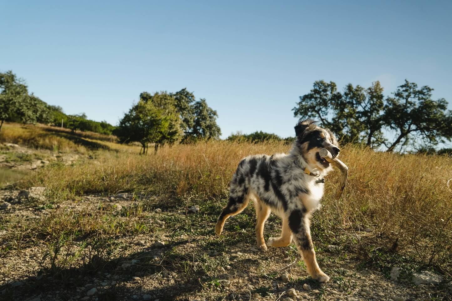 Ranches in the Texas Hill Country