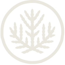 Round Mountain Logo
