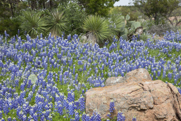 best state parks in Central Texas
