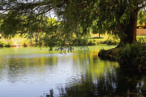 State parks near Texas Hill Country